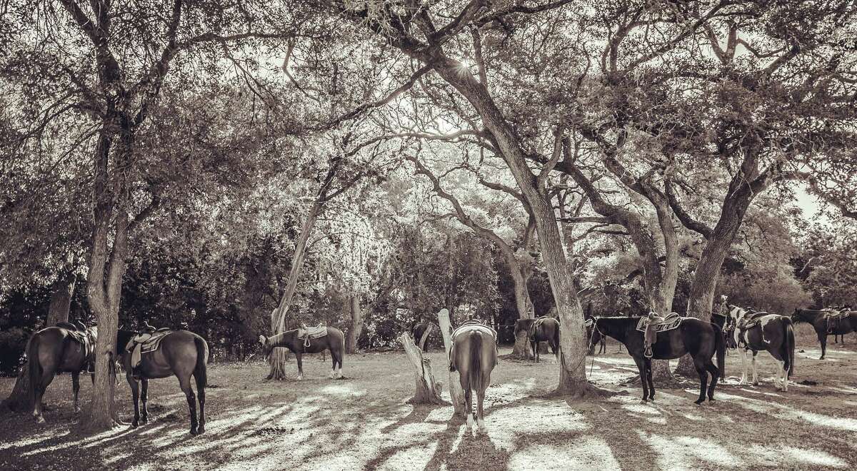 Put a little 'hitch in your giddyup' at these Texas ranches