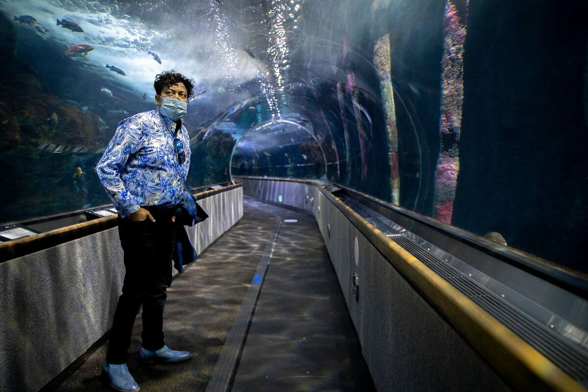 George Jacob, the president and chief executive officer of the Aquarium of the Bay, at the aquarium�s underwater tunnel on Tuesday, June 30, 2020, in San Francisco, Calif. Aquariums and zoos in San Francisco remain closed because of the state of the coronavirus pandemic.