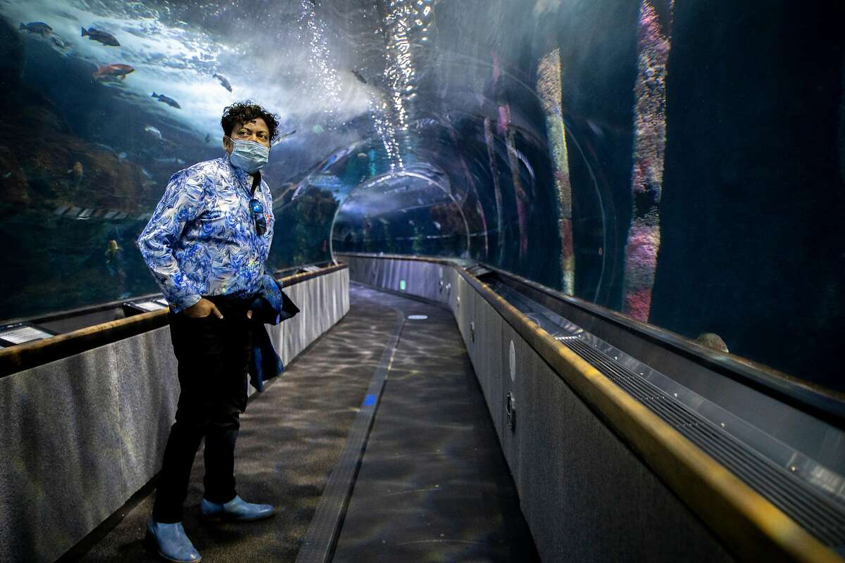 dating in east bay vs. san francisco zoo dating in east bay vs. san francisco zoo