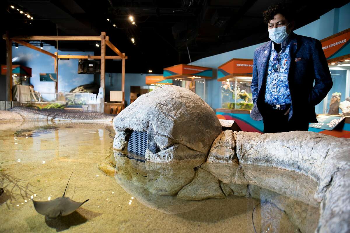 ‘You can’t furlough the animals’ SF Zoo and two aquariums are in desperate financial straits