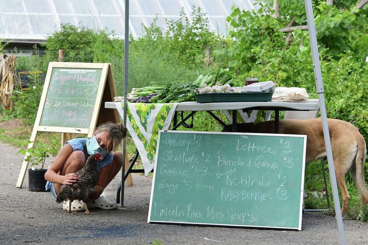 Violet Kellogg, 11, of Albany holds her chicken "Assistant" as her dog Maple finds shade under a produce table at the Albany South End Night Market on Thursday, July 2, 2020 in Albany, N.Y. (Lori Van Buren/Times Union)
