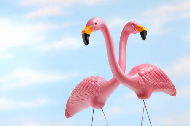 GRINGOS AND FLAMINGOS by Scott Nelson GRINGOS AND FLAMINGOS by Scott Nelson