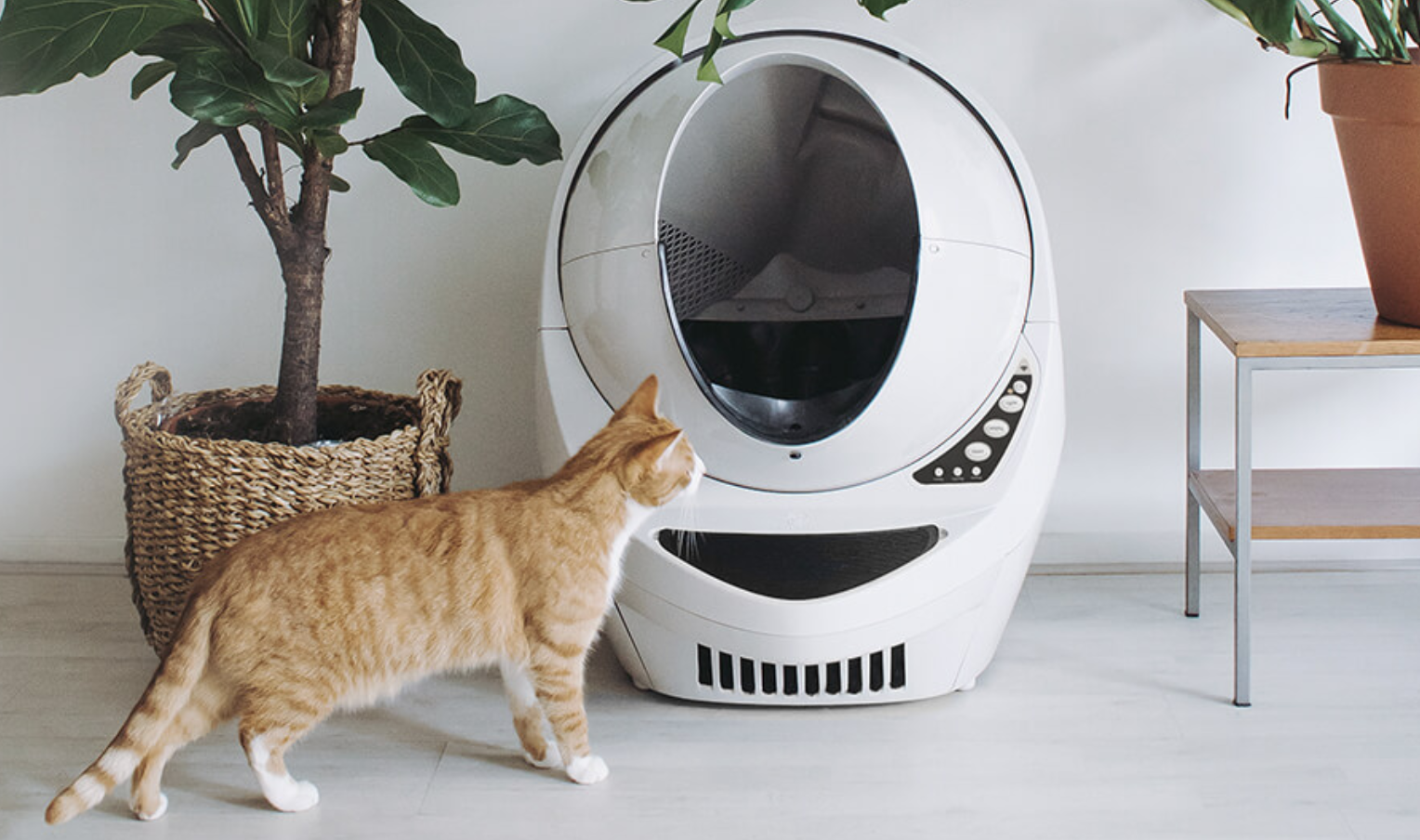 little robot kitty litter box