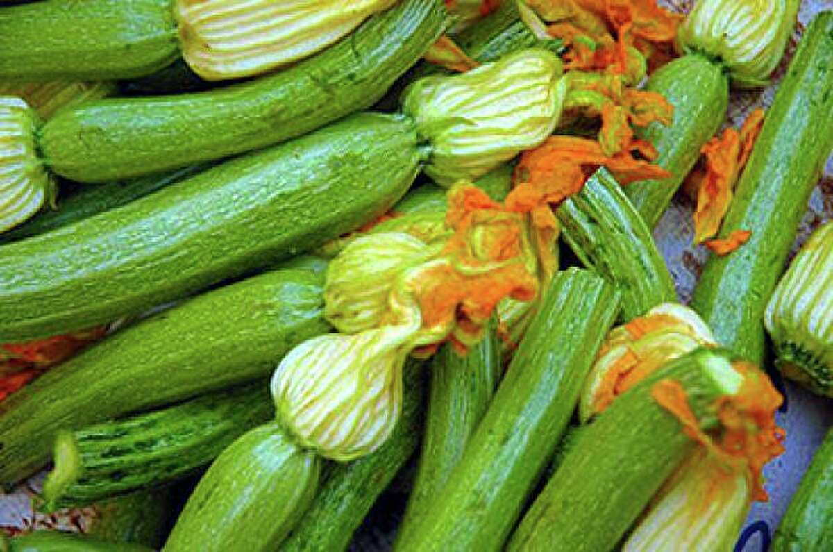 Summer Zucchini Makes For A Delightful Snack