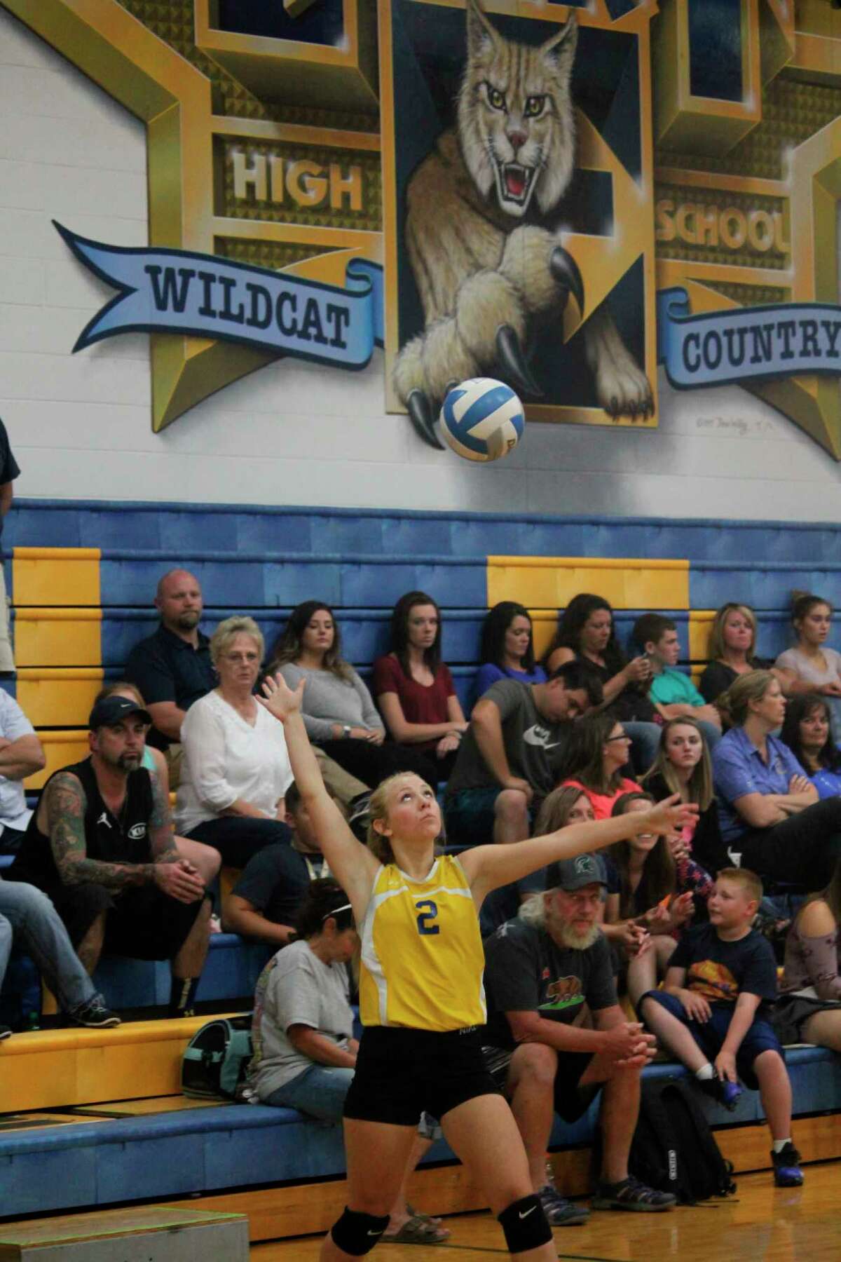 Evart's Kaylee Ladd played volleyball and basketball at Evart along with softball. (Herald Review file photo)