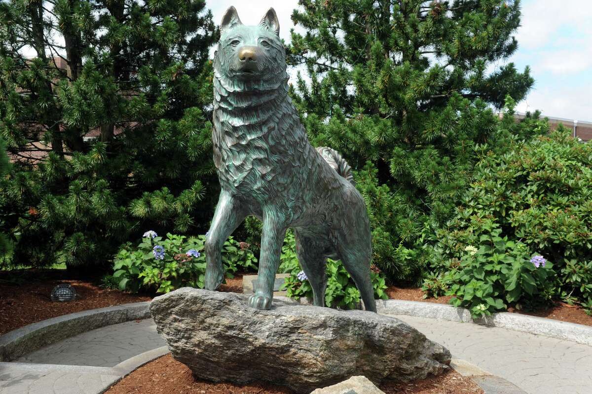 A statue of Jonathan the Husky, UConn’s mascot, stands outside of Gampel Pavilion on the University of Connecticut campus, in Storrs, Conn. Aug. 20, 2018.