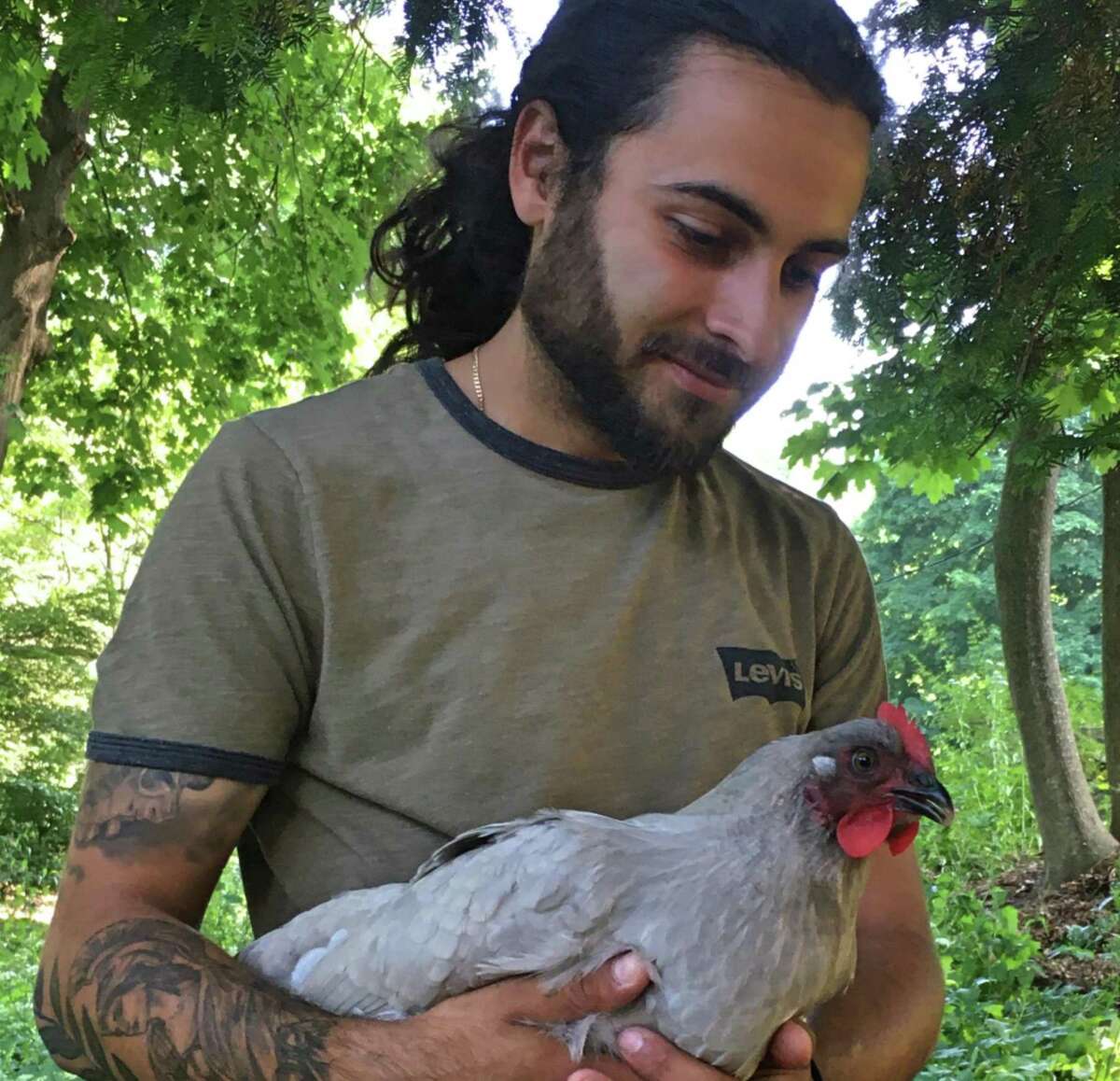Nikos Papadopoulos holds one of his chickens at his new home, Fairview Farm.
