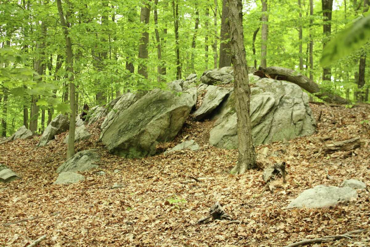 It’s official Town and Greenwich Land Trust purchase 72 acres of open