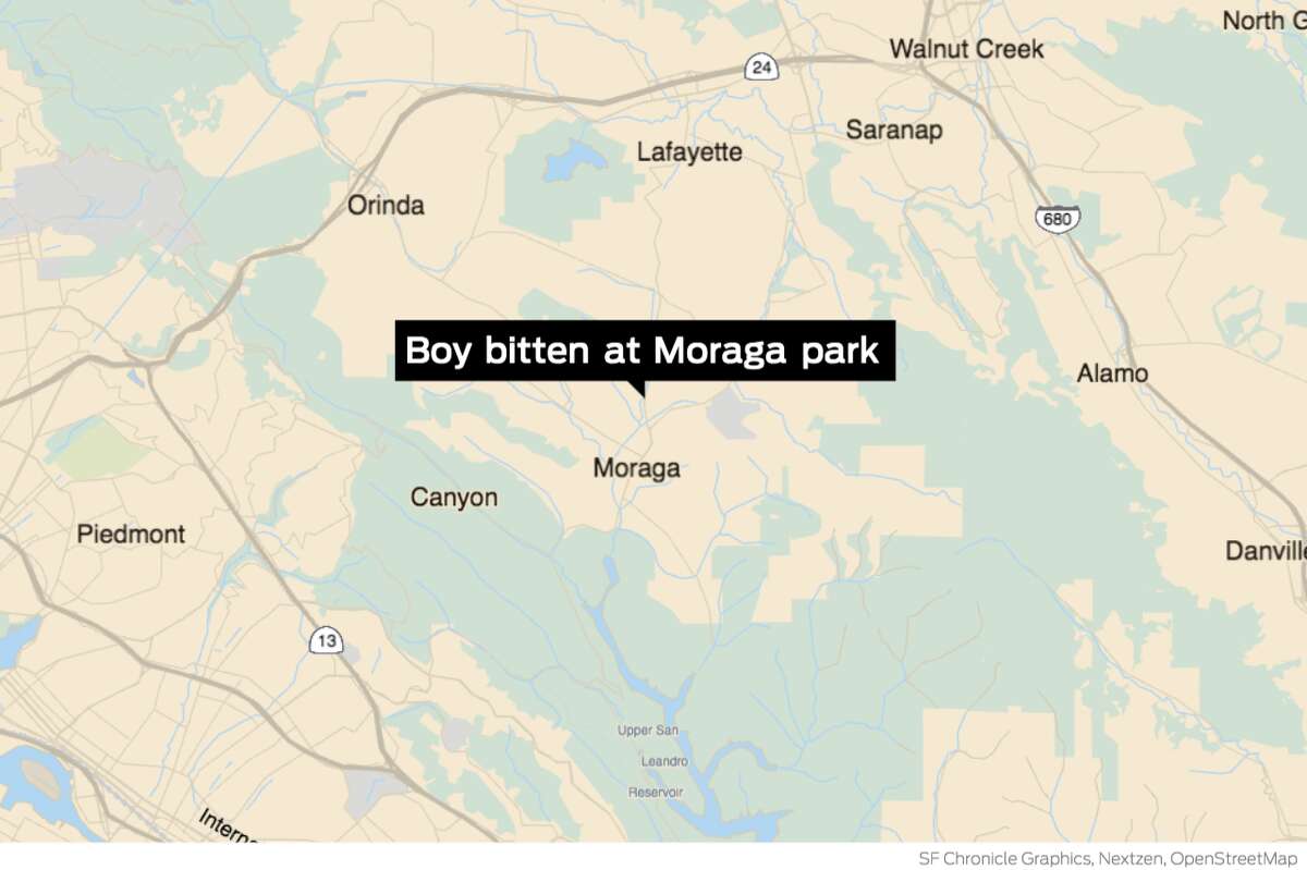 The child was bitten on the leg at Moraga Commons, near the restrooms, by an animal “that was reported to be a coyote,” according to a police statement.