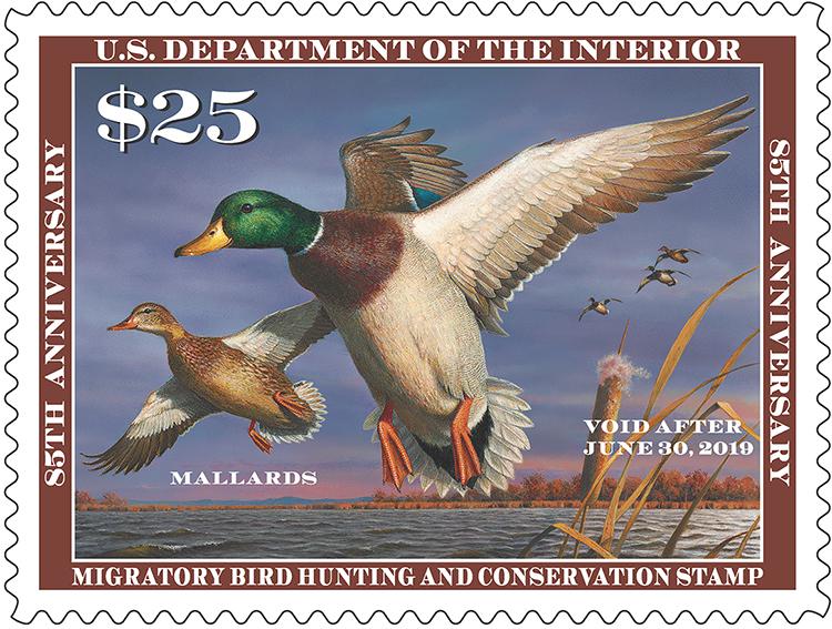 Earth Matters Arbitrary changes coming to federal duck stamp design