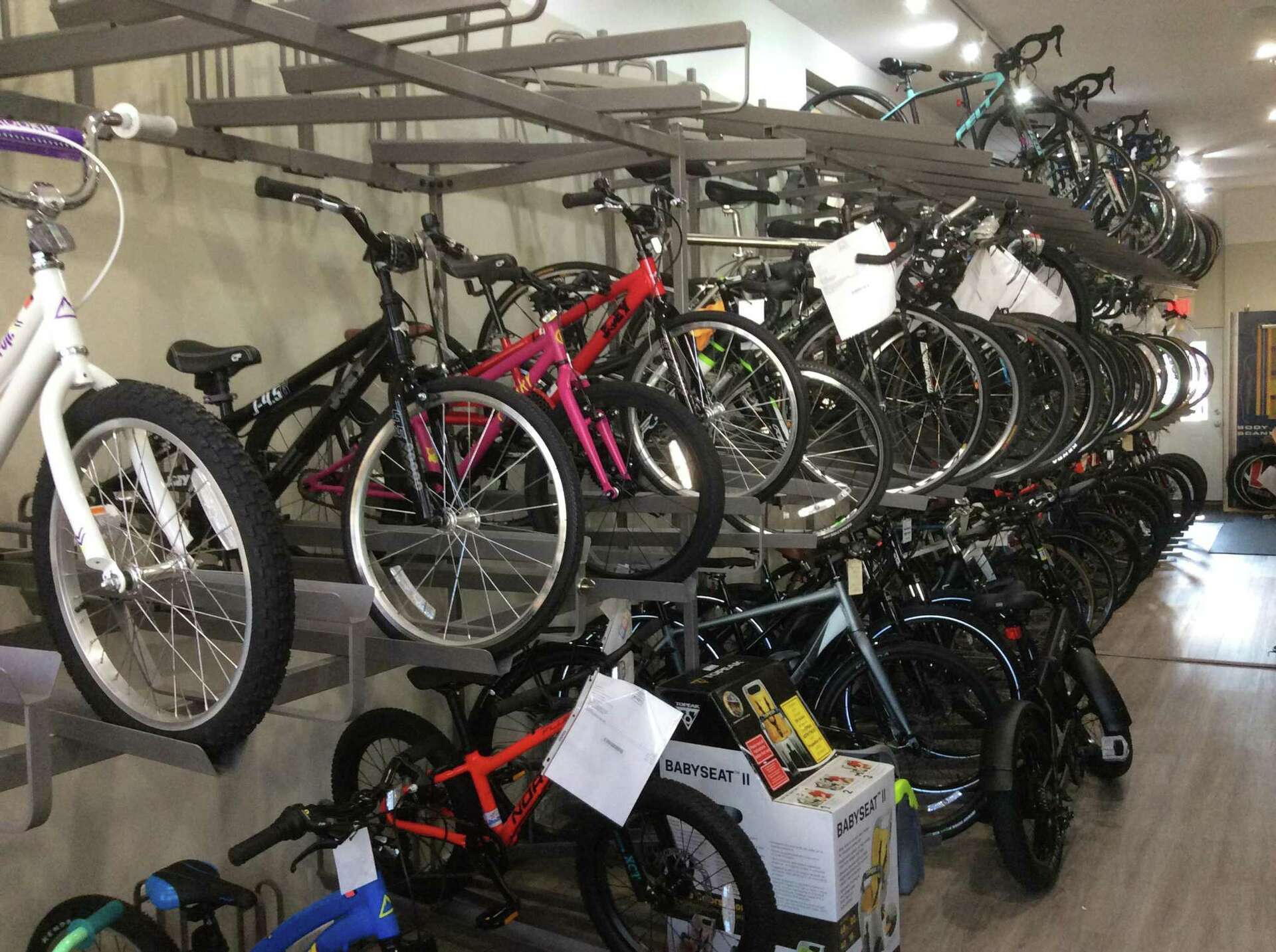 Greenwich cyclists get back on the road