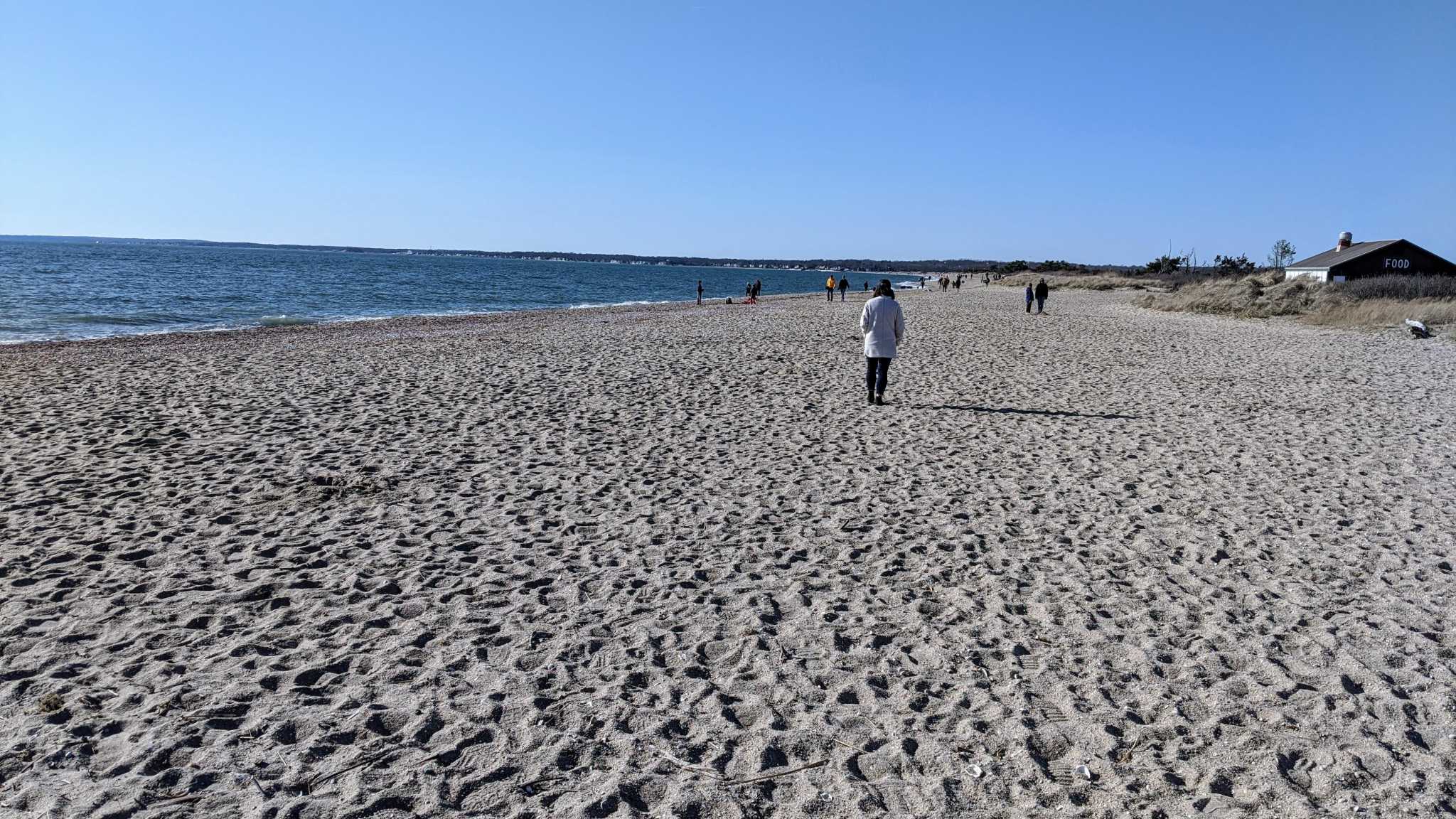 Hammonasset Festival 2022