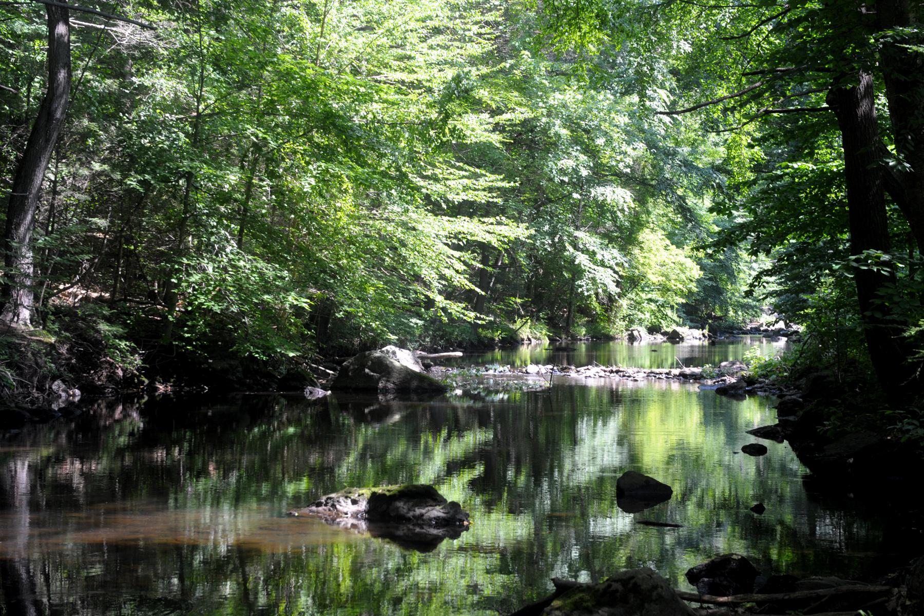 Shelton cuts off access to popular Stratford swimming hole - Vimarsana News