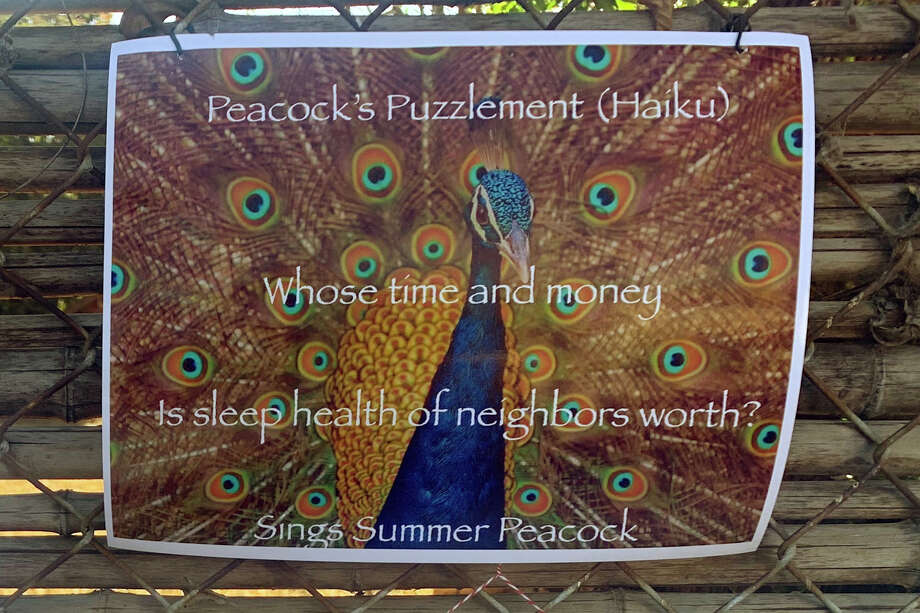 Some neighbors have left peacock-themed poetry and artwork on the fence overlooking the bird's habitat. Photo: Madeline Wells/SFGATE