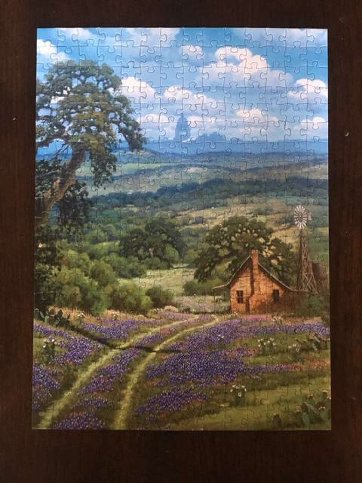 The Art Puzzle Project spotlights San Antonio artists such as Ana