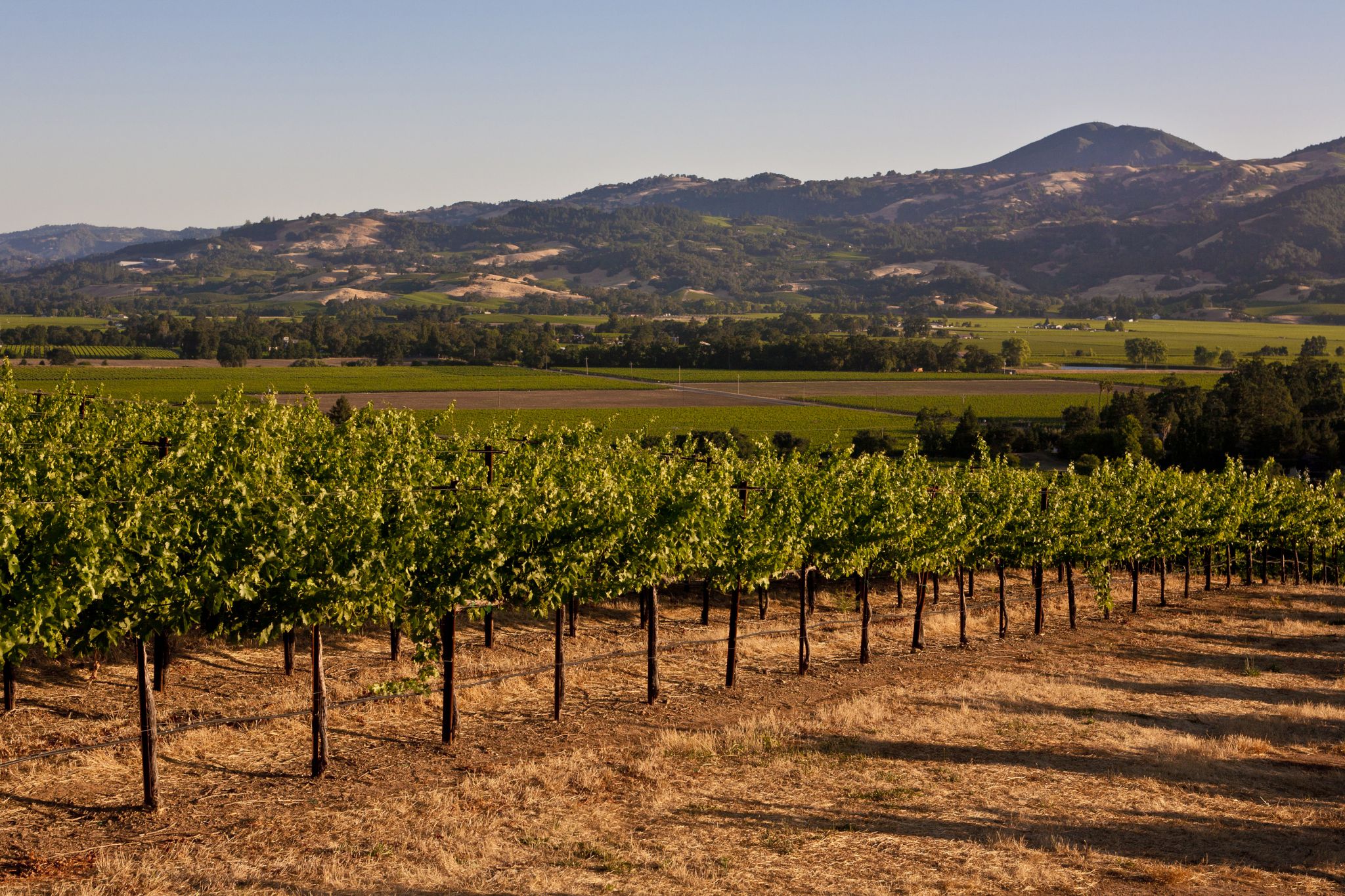 Why 2 counties in the San Francisco Bay Area are changing to the red level ahead of schedule