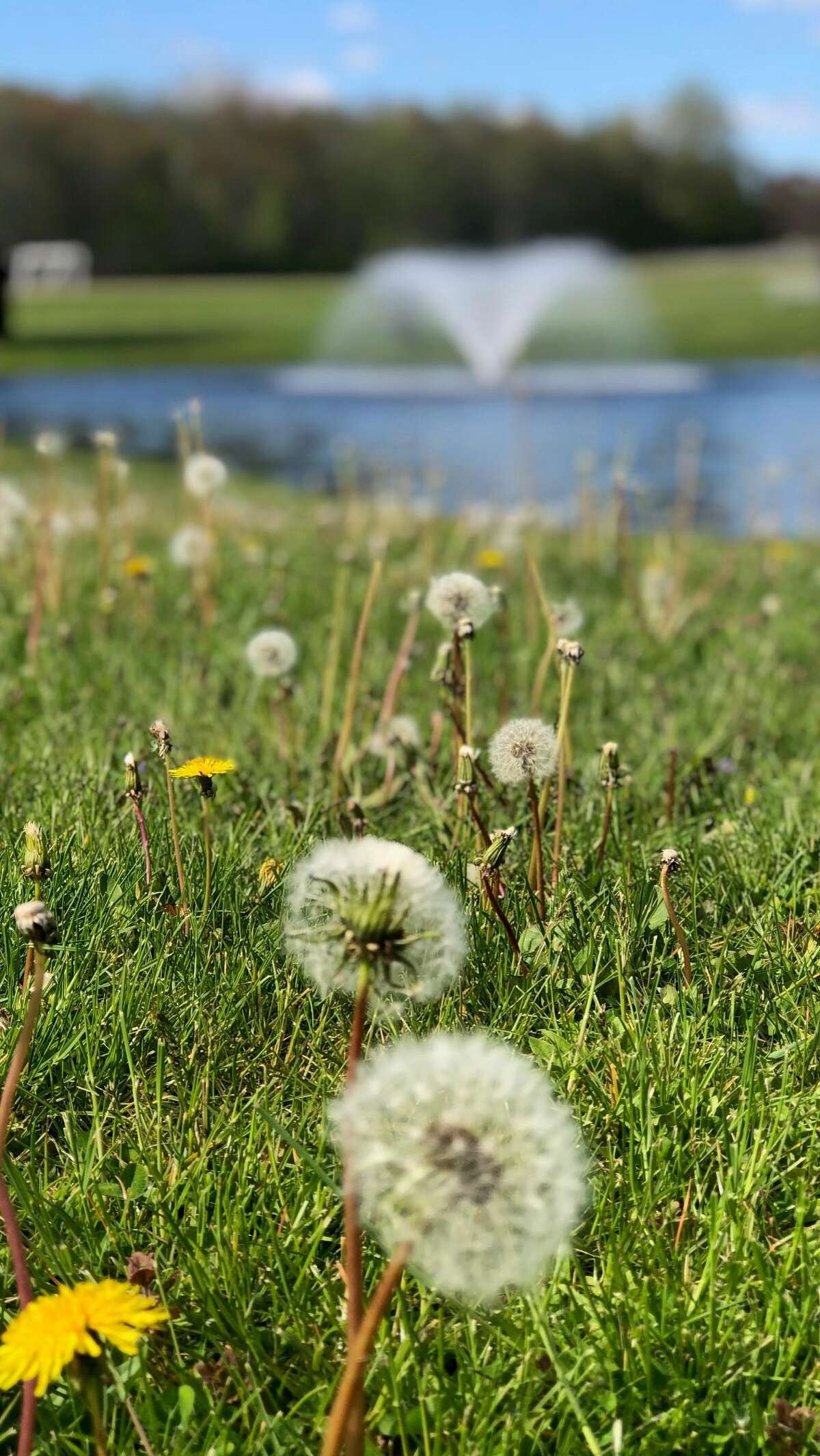 Space for recreational activities is available at the park on Sarah Sanford Road.
