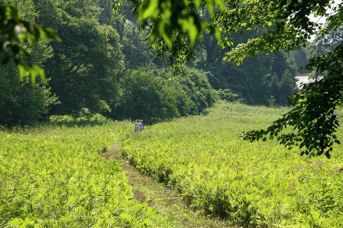 The Brian E. Tierney Preserve, above, is one of the many preserves the Roxbury Land Trust oversees.