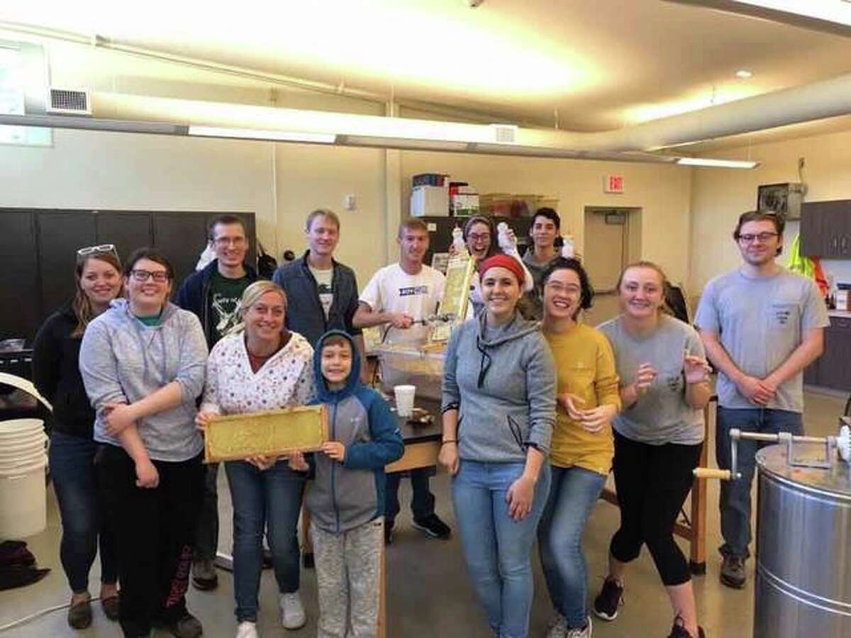 Honey Bee Association sidelines events, for now