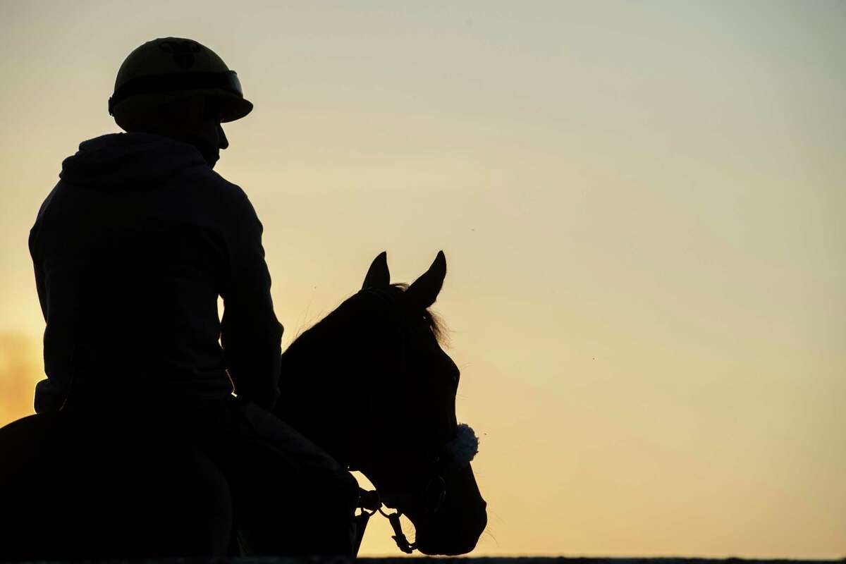 An exercise rider watches as horses gallop in the early morning the day before opening day at Saratoga Race Course July 15, 2020 in Saratoga Springs, N.Y. Photo by Skip Dickstein/Special to the Times Union.