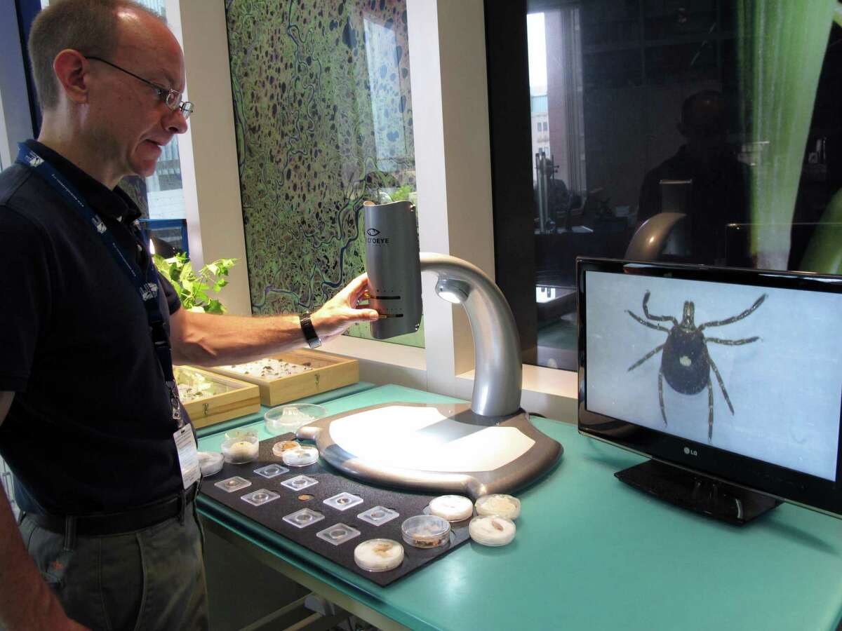 In this July 31, 2014 photo, Dr. Colin Brammer, an entomologist at the North Carolina Museum of Natural Sciences, displays a lone star tick in a lab in Raleigh, N.C. The tick has been moving northward and is now found in Fairfield County.