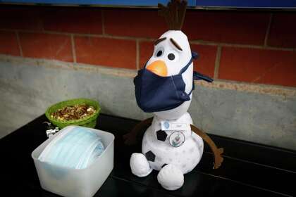 We Answer Your Frequently Asked Questions About Kids And Coronavirus Houstonchronicle Com