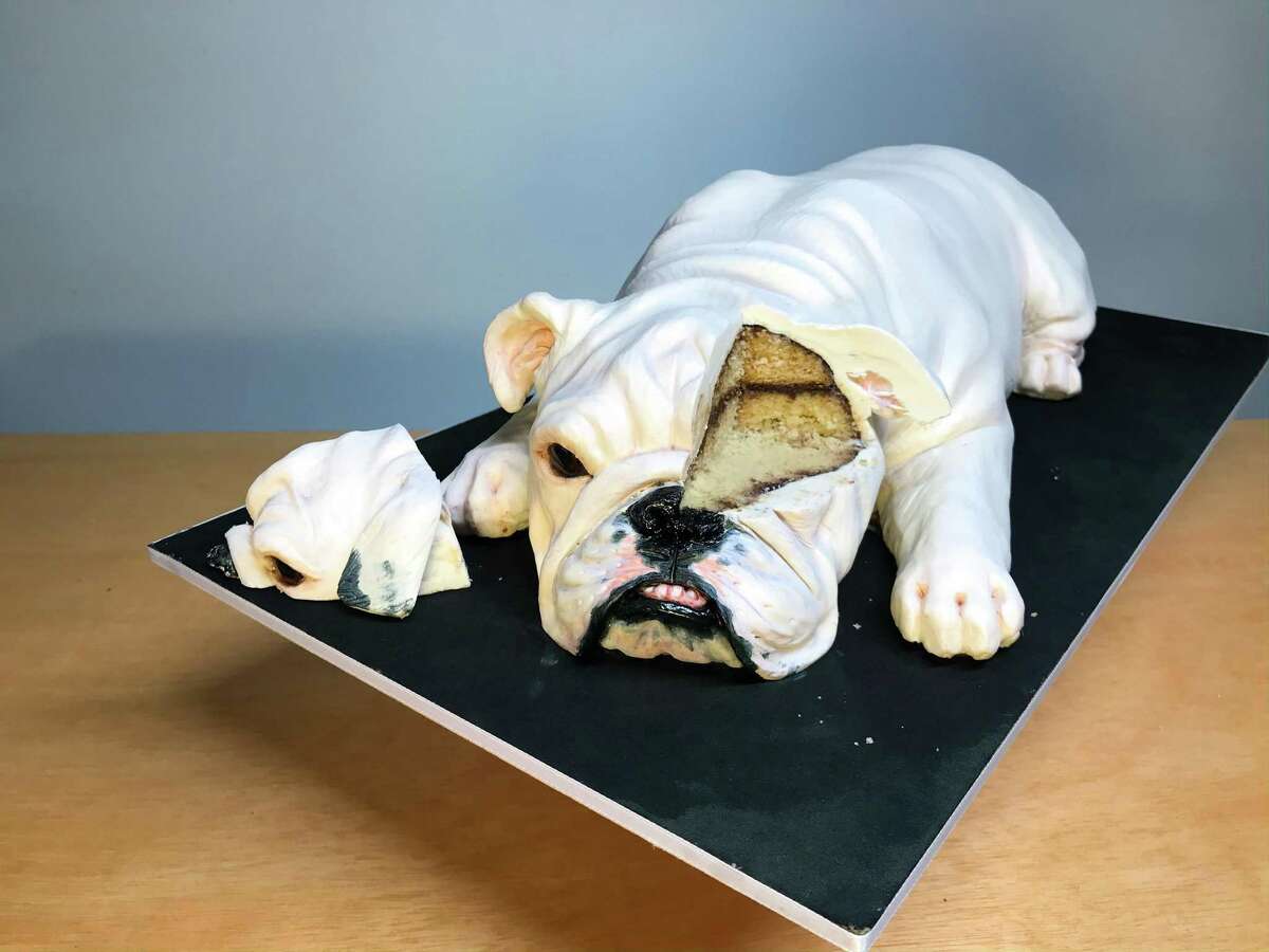 Is it a puppy? Nope, it's a cake. Natalie Sideserf of Sideserf Cake Studio has been making realistic cakes since 2012.