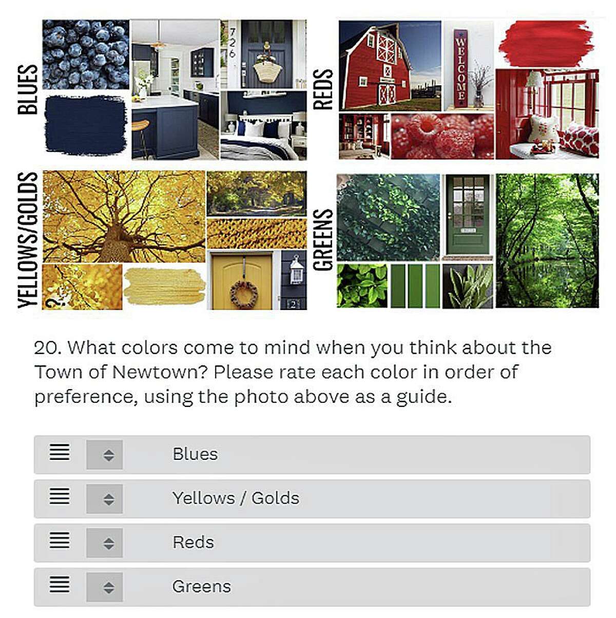 A sample survey question for Newtown’s branding campaign.
