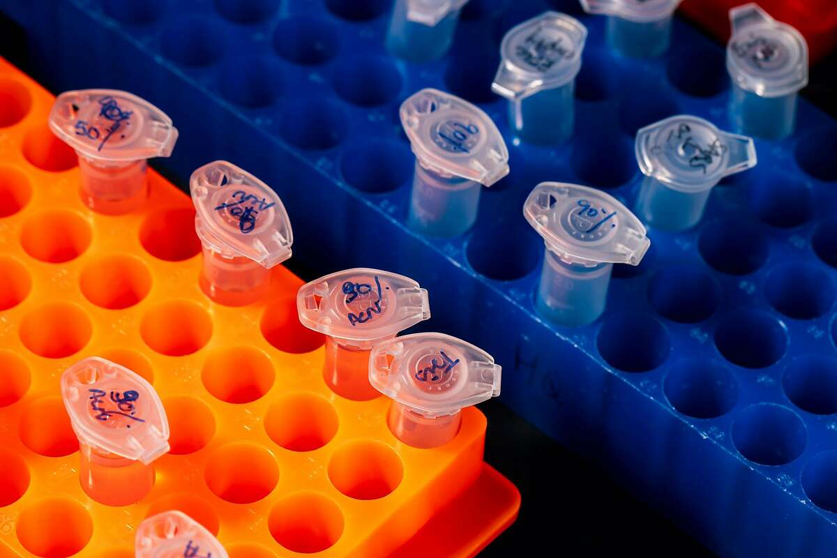 Desalted viral protein samples are seen in vial holders on a lab bench at the Krogan Lab inside the UCSF-affiliated Gladstone Institute on Wednesday, July 15, 2020 in San Francisco, Calif..
