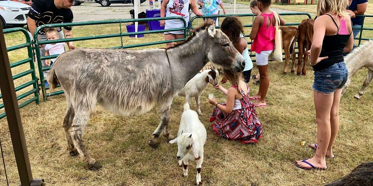 The Mecosta Osceola Substance Awareness Coalition will host its annual Petting Zoo and Family Picnic on Saturday, July 25.