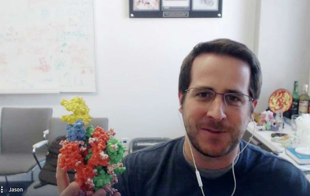 UT-Austin bioscience researcher Jason McClellan shows a 3D model of the "spike" on the coronavirus SARS-CoV-2. His lab mapped the molecular arrangement based on the virus's genome. Now his model is being used in vaccines going into large-scale trials The red, yellow and blue parts of the model are proteins that form the spike's trident. The yellow bit is a piece of human cell that the spike bonds to. The small multicolored globs are glycans, sugars that hide the virus from the immune system.