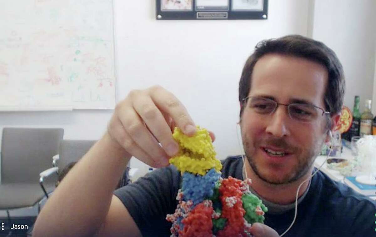 UT-Austin bioscience researcher Jason McClellan shows a 3D model of the "spike" on the coronavirus SARS-CoV-2. His lab mapped the molecular arrangement based on the virus's genome. Now his model is being used in vaccines going into large-scale trials The red, yellow and blue parts of the model are proteins that form the spike's trident. The yellow bit is a piece of human cell that the spike bonds to. The small multicolored globs are glycans, sugars that hide the virus from the immune system.