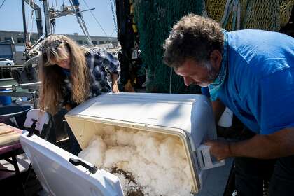 Joleen Lambert Skinner and Giuseppe Pennisi store fish on the Pioneer, which is docked outside Scoma’s on Pier 47.