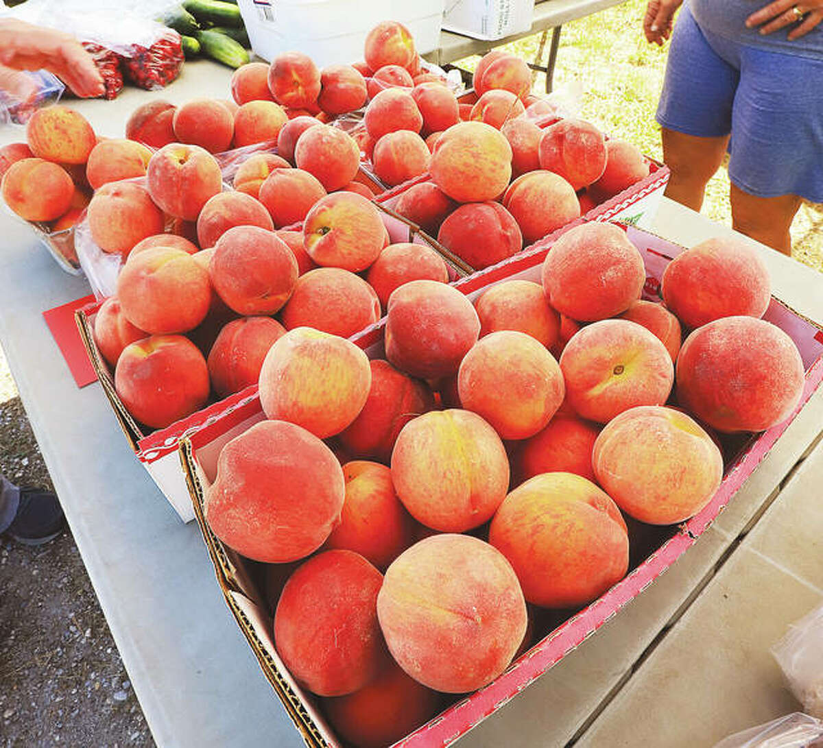 Why Calhoun County peaches are some of the sweetest