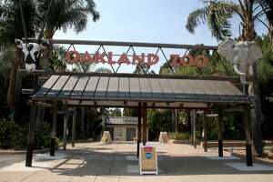 Oakland Zoo temporarily closes due to 'major sinkhole'