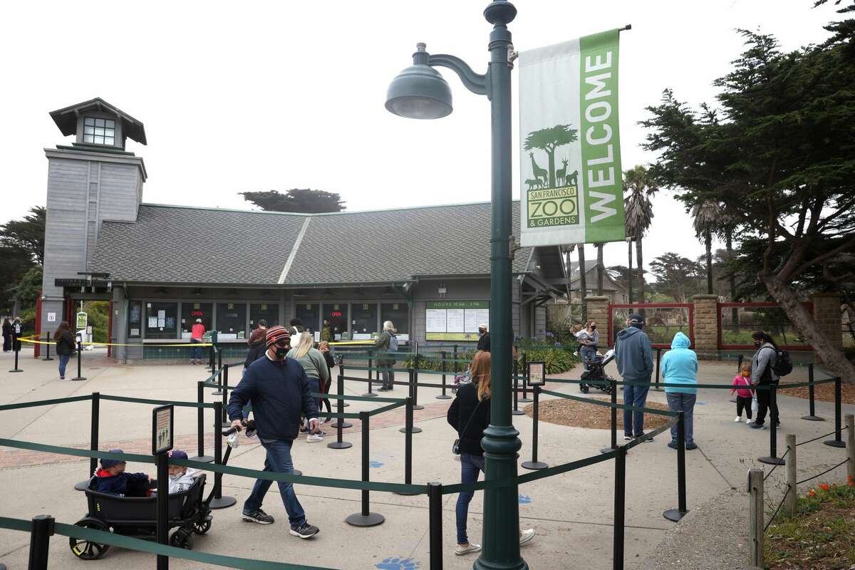 Visitors enter the San Francisco Zoo & Gardens on July 13, 2020 in San Francisco, California. The San Francisco Zoo is set to reopen to the public on July 15th since being closed for nearly four months due to the coronavirus COVID-19 pandemic. A limited number of tickets are being reserved for members to visit the zoo on July 13 and 14 just prior to the official public opening.