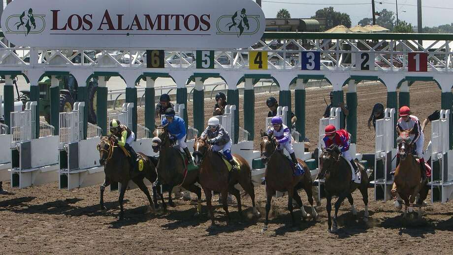 More than 20 horses have died from racing or training at the Orange County track this year, 10 of them since May 26. Photo: Gina Ferazzi / Los Angeles Times