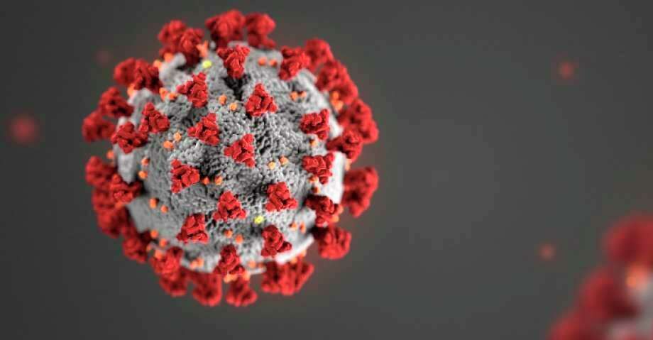 The strain of coronavirus that causes COVID-19. A group of patron that attended several Huron County restaurants on the evening on July 11 were later found to be COVID-19 positive.(Tribune File Photo)