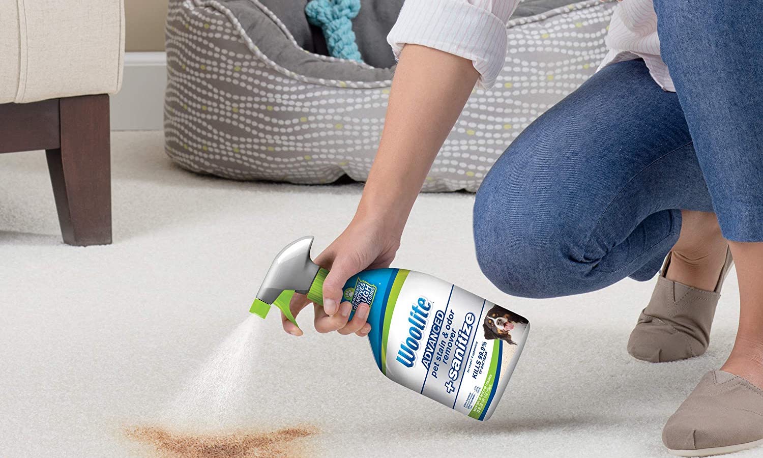 9 great spot cleaners to clean up pesky pet messes