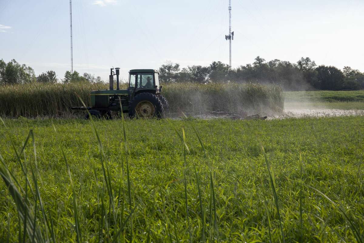 I20 Wildlife Preserve closes for the week to remove invasive cattail