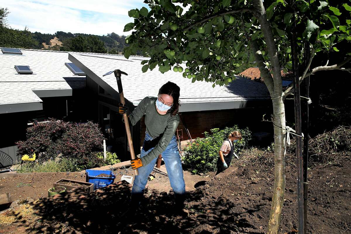 Sadie Fleig, 18, left, and her friend Niko Migdal, 18, both recent Berkeley High School graduates, perform yard work at Fleig's home on Tuesday, July 21, 2020, in Berkeley, Calif. Fleig plans to work the rest of 2020 and potentially travel early in 2021 before starting at Colorado College next fall. Her summer job is doing yard work at other people's houses in Berkeley.