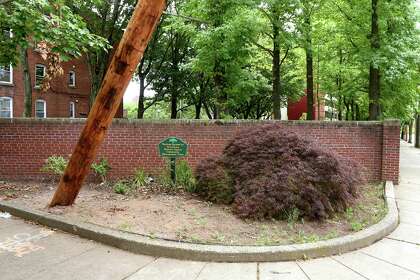 Ui Pole Planted Into Neglected New Haven Community Garden Brings Bad Vibes Ctinsider Com