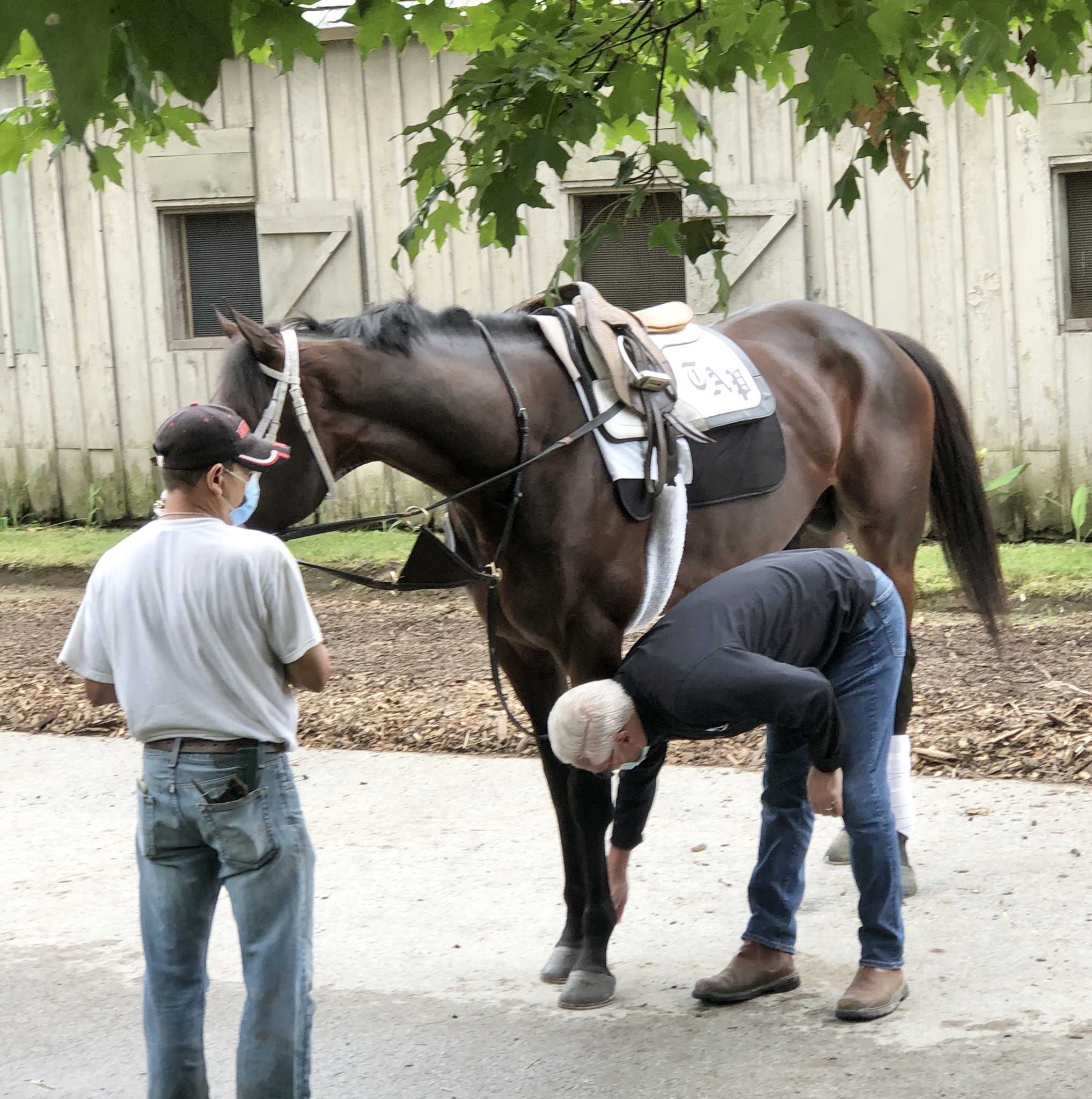 Saratoga Entries Equibase - shizpzs