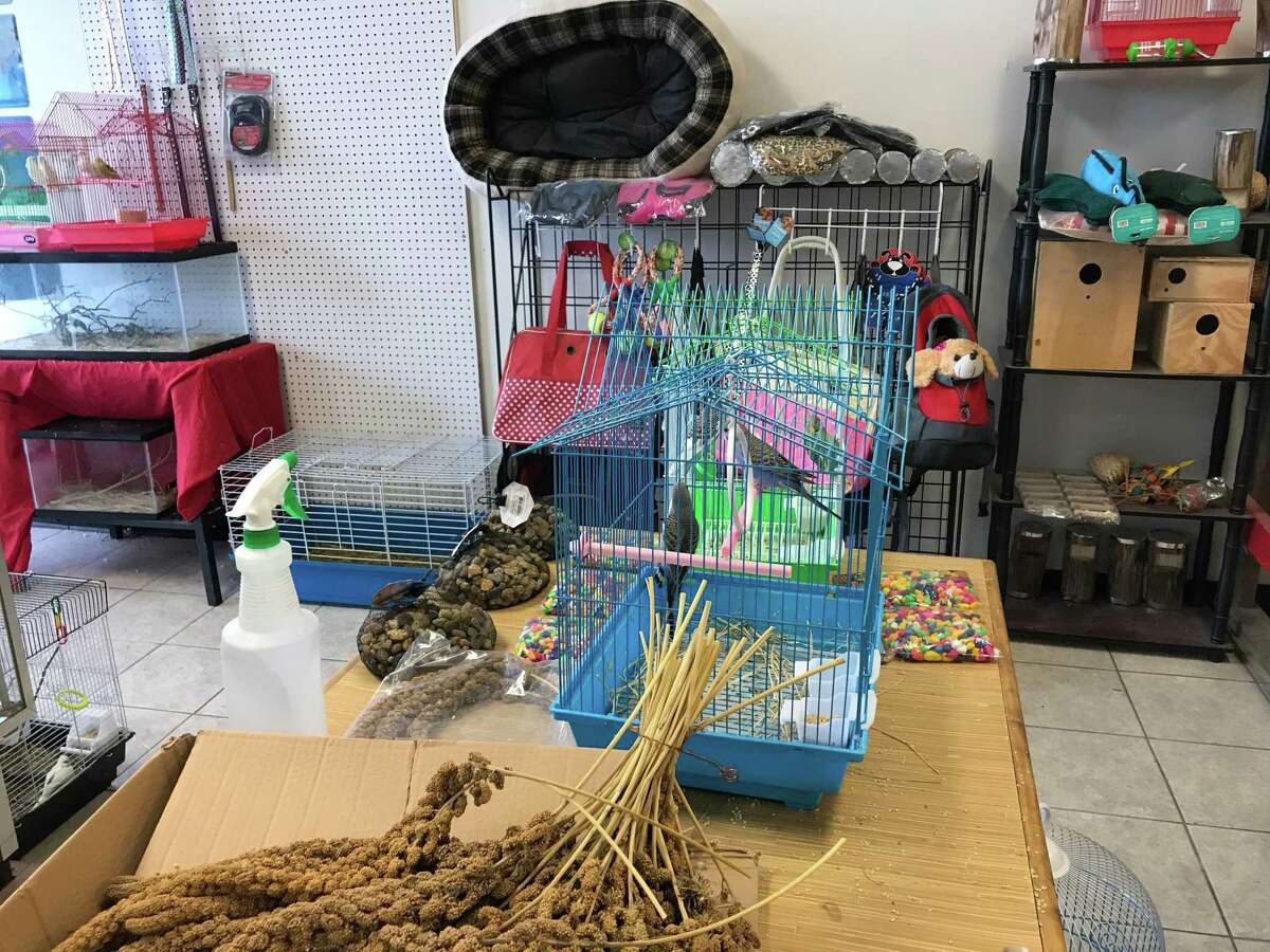 Authorities seize 60 ‘emaciated’ animals from new pet shop in Spring