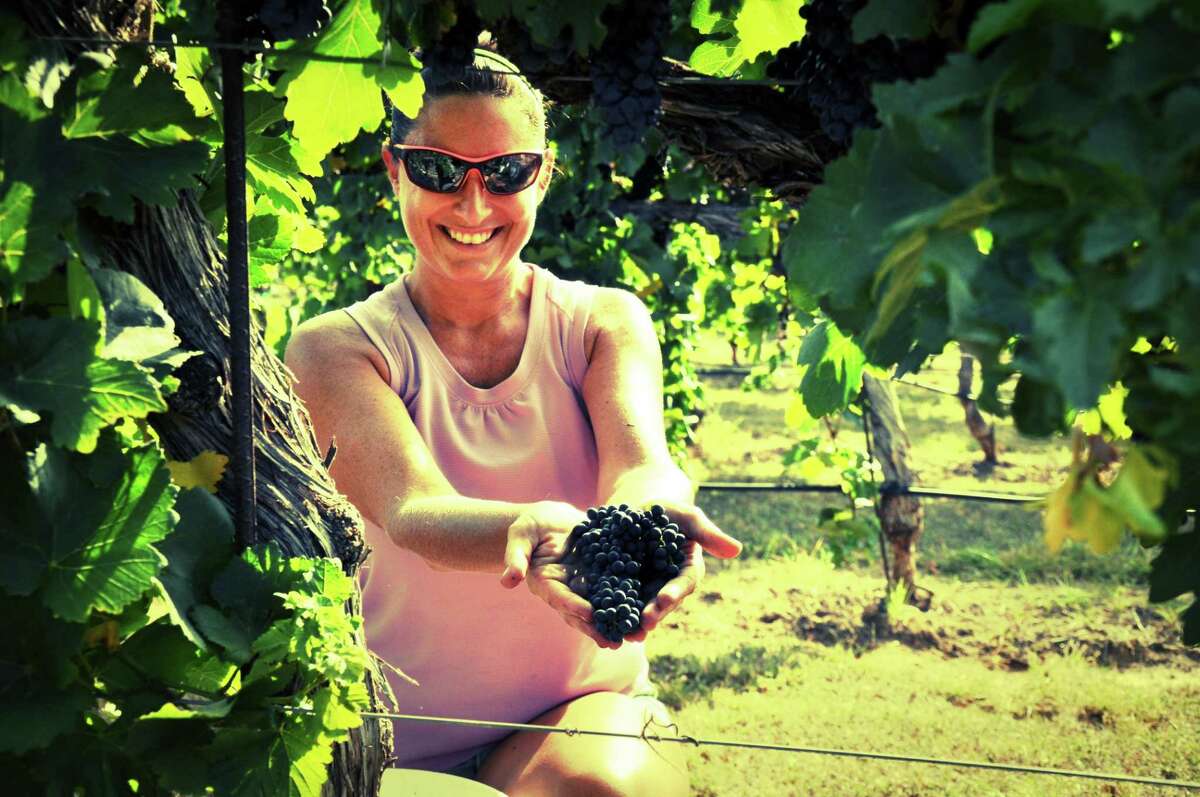 Experience the grape harvest this weekend at Flat Creek Estate Winery and Vineyards near Marble Falls.
