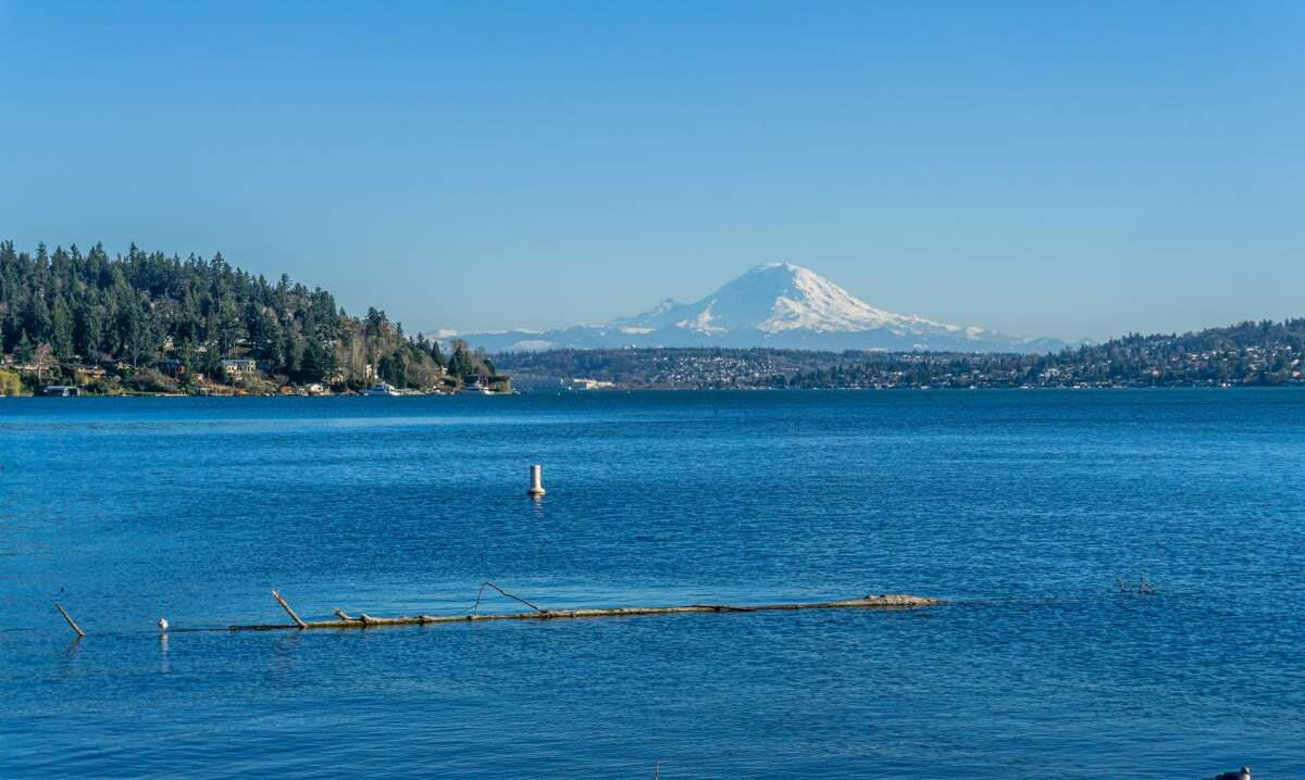 Swim Seattle - Parks