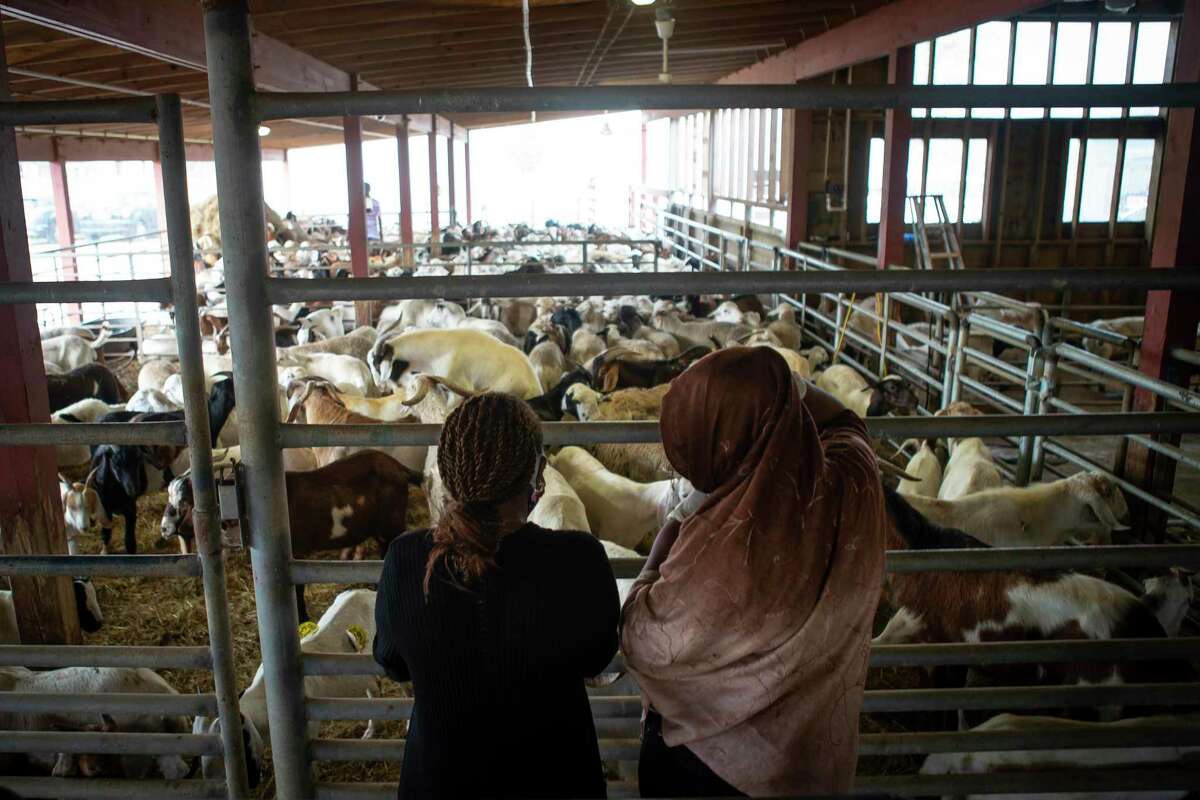 Sacrifice — of sons, lambs, money — takes on new meaning on COVID