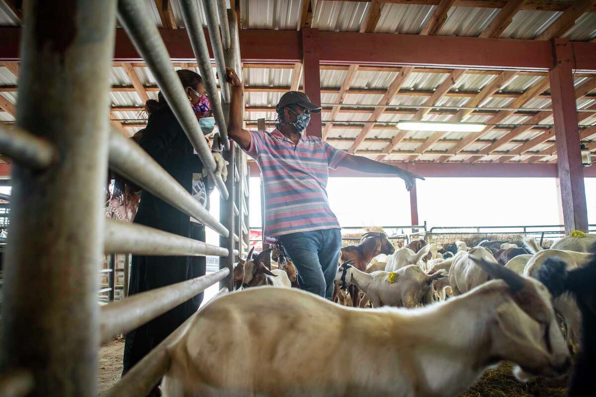 Sacrifice — of sons, lambs, money — takes on new meaning on COVID