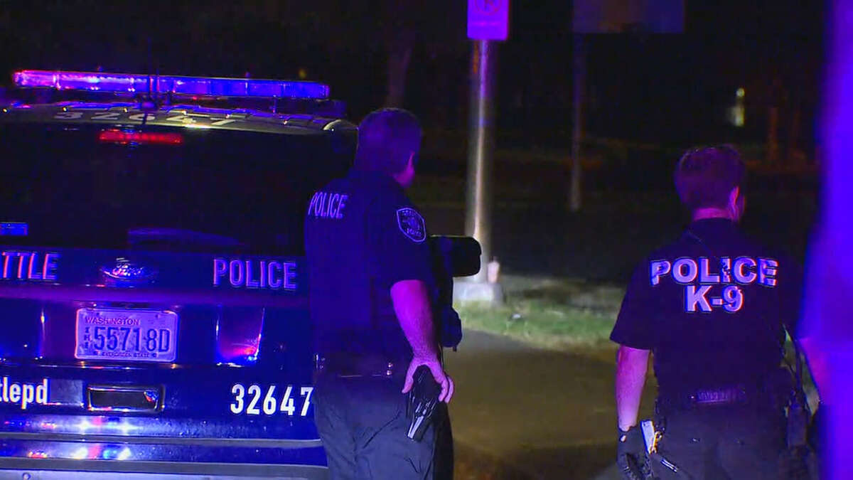 Police investigating triple shooting in New Holly neighborhood
