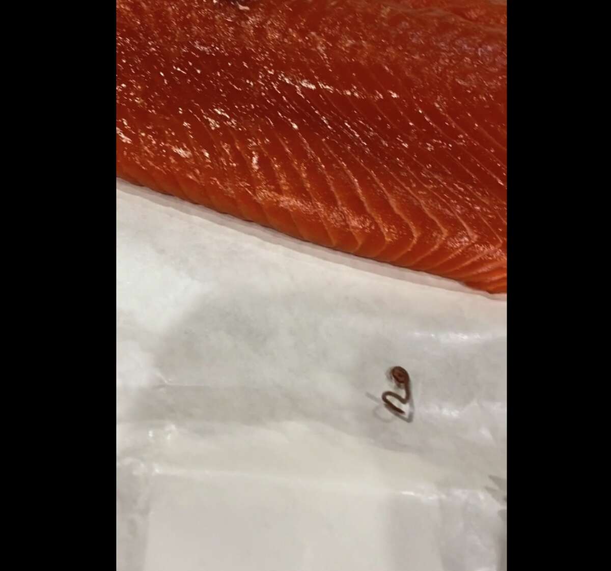 worms in wild salmon